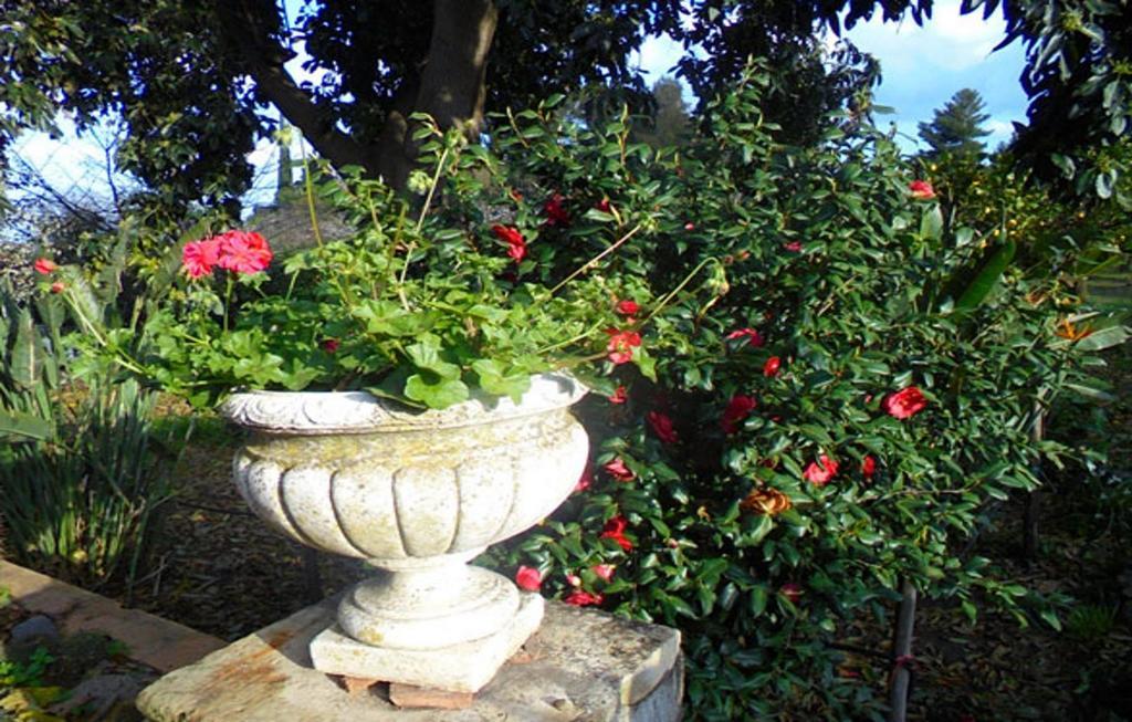 Baglio Delle Rose Bed & Breakfast Giarre Ngoại thất bức ảnh