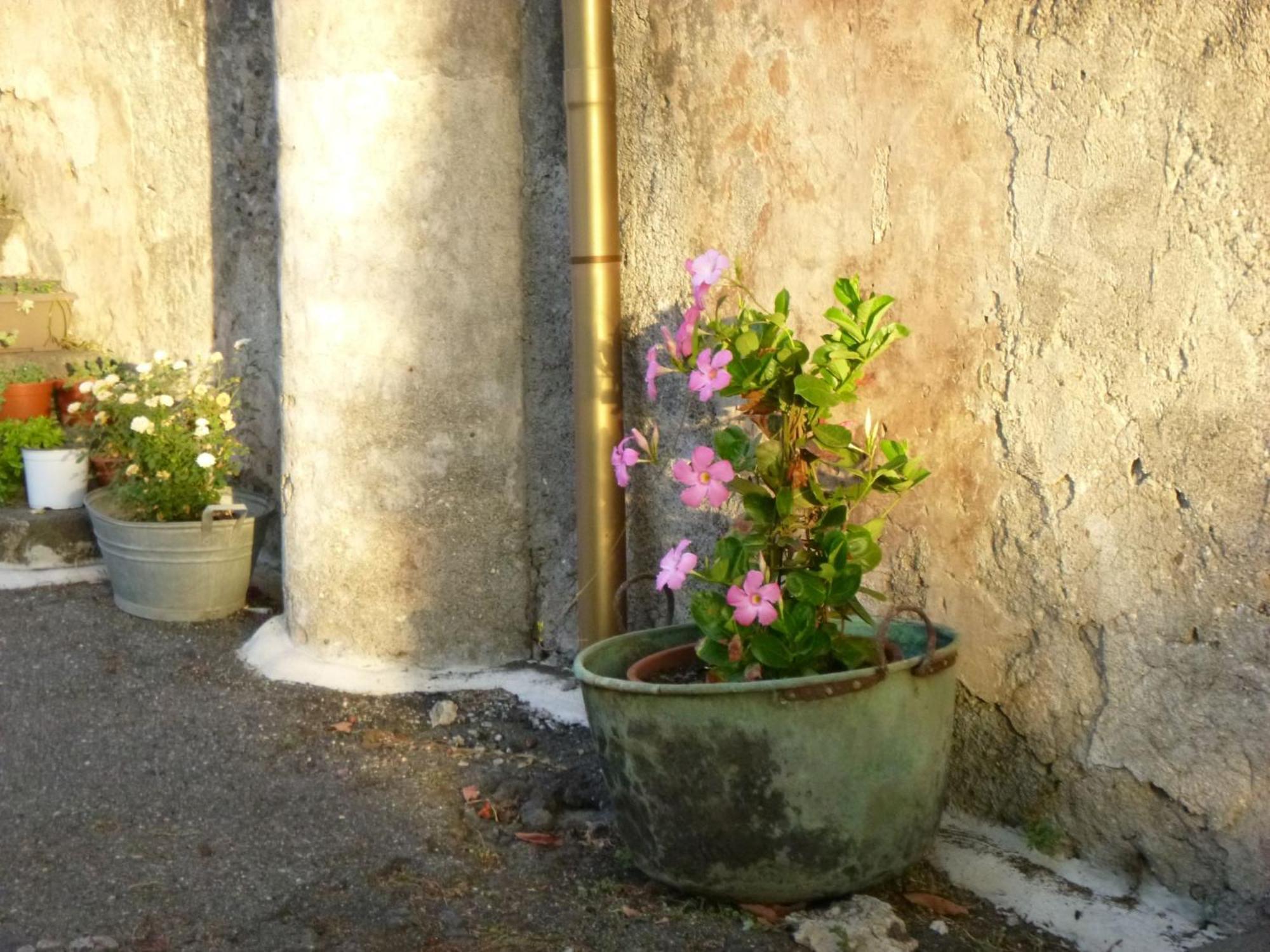 Baglio Delle Rose Bed & Breakfast Giarre Ngoại thất bức ảnh
